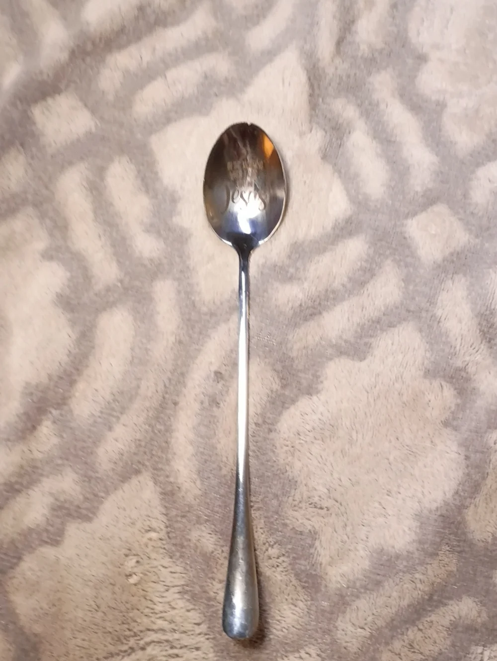 Long-Handled Serving Spoon in Silver Finish